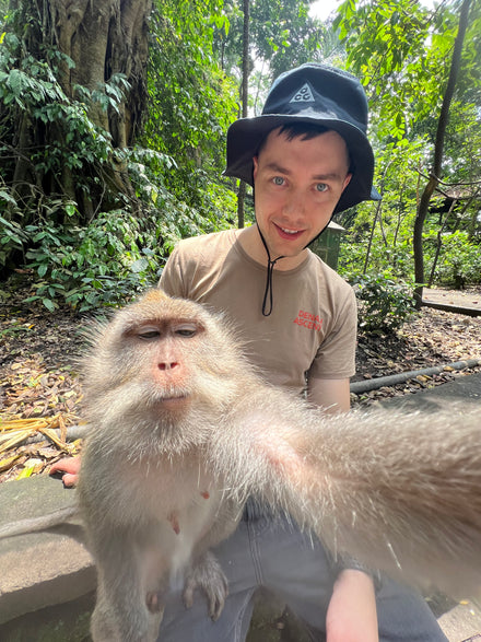 Monkey Forest